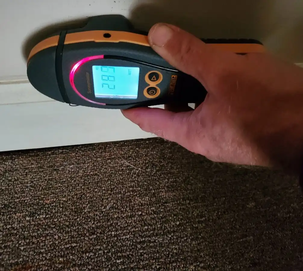 Moisture detection at baseboard during Sewage Cleanup & Sanitation in Destrehan